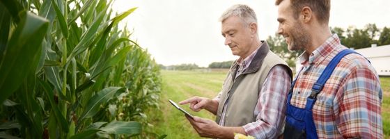 Agro Service 2000 site e-commerce